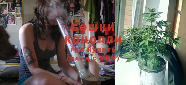 шишки Кинешма