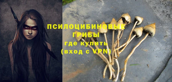 mix Кодинск