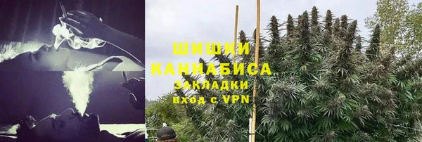 шишки Кинешма