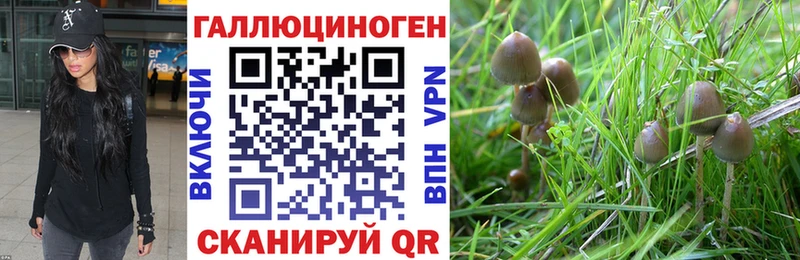 Галлюциногенные грибы ЛСД  Купить закладки  Высоковск 