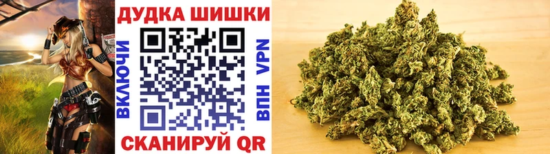 Конопля сатива Купить где Высоковск